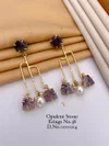 New Fancy Western Earrings Collections